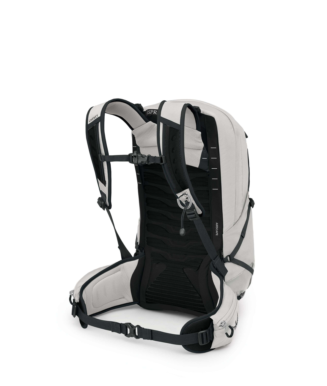 Talon 22