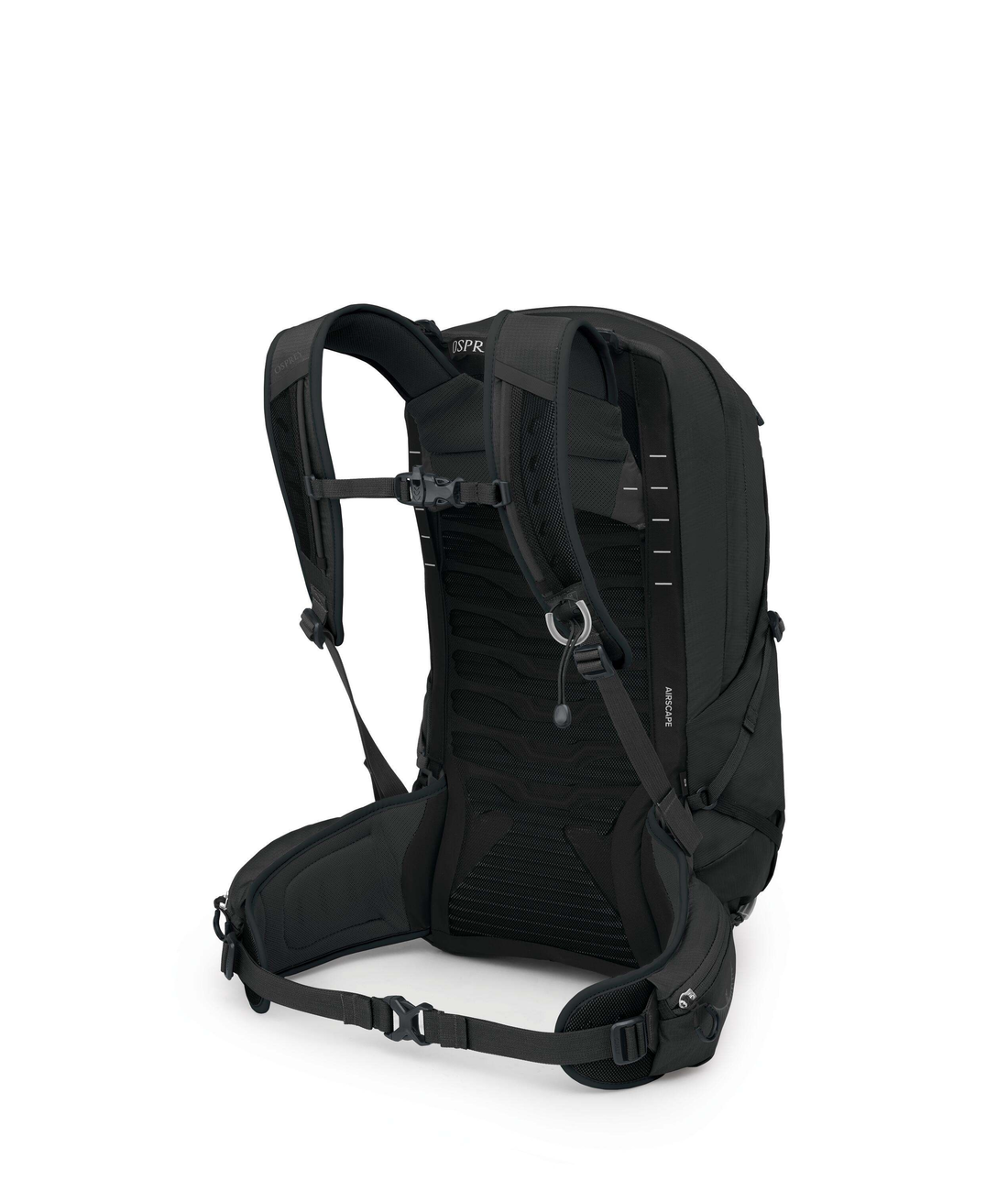 Talon 22