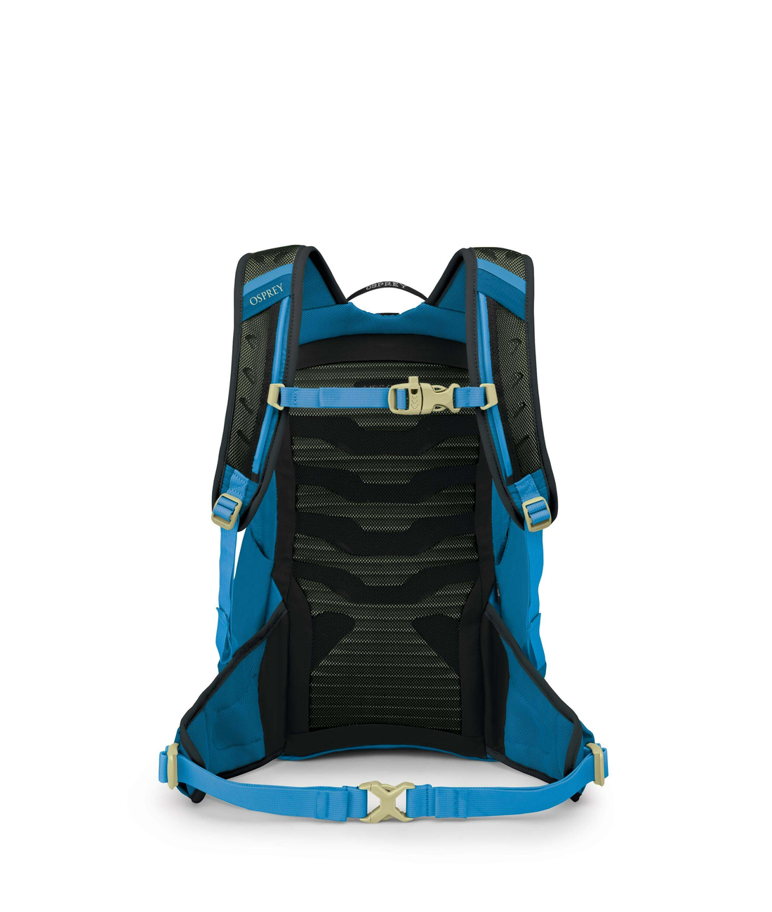 Talon Junior