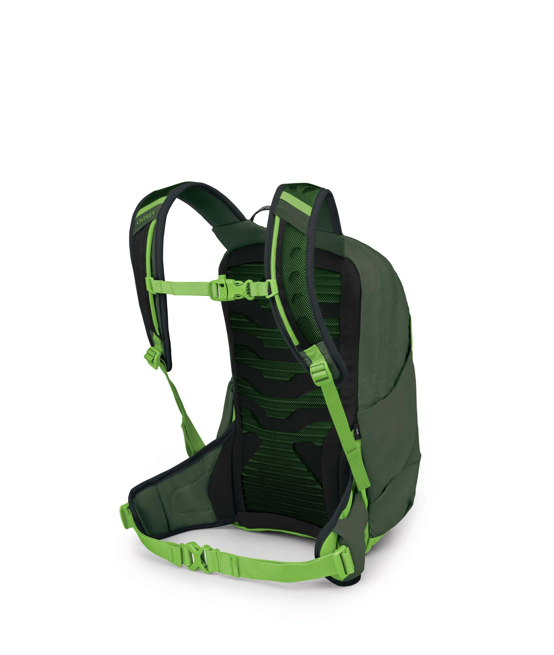 Talon Junior