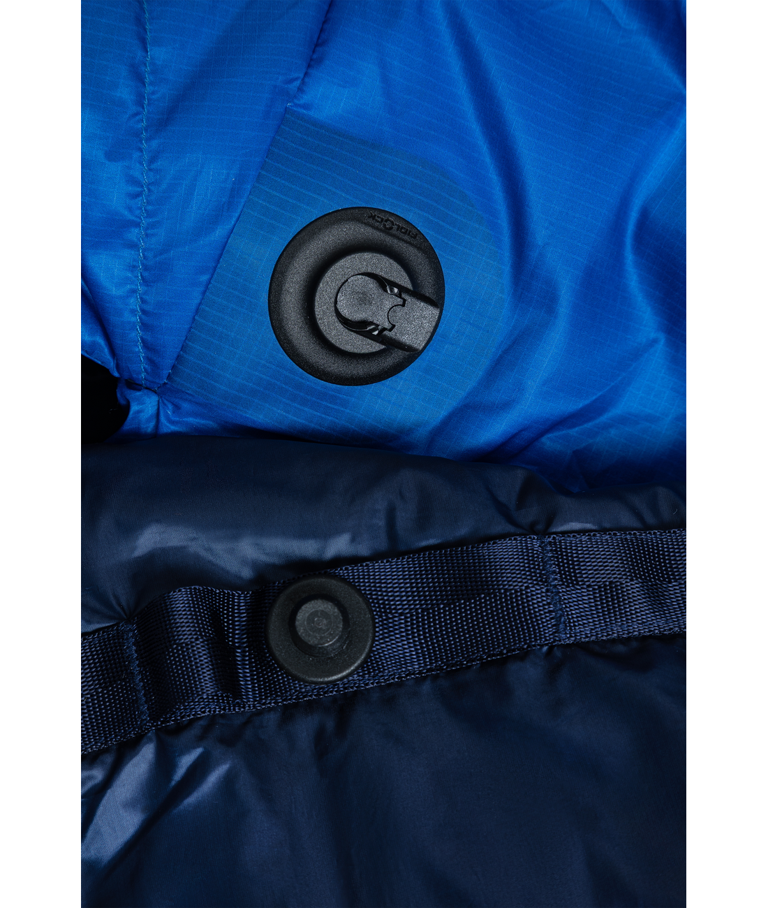 Wraptor Down 15 - Long