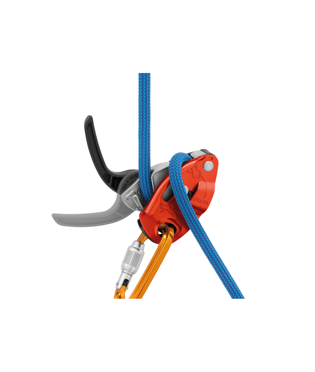Grigri