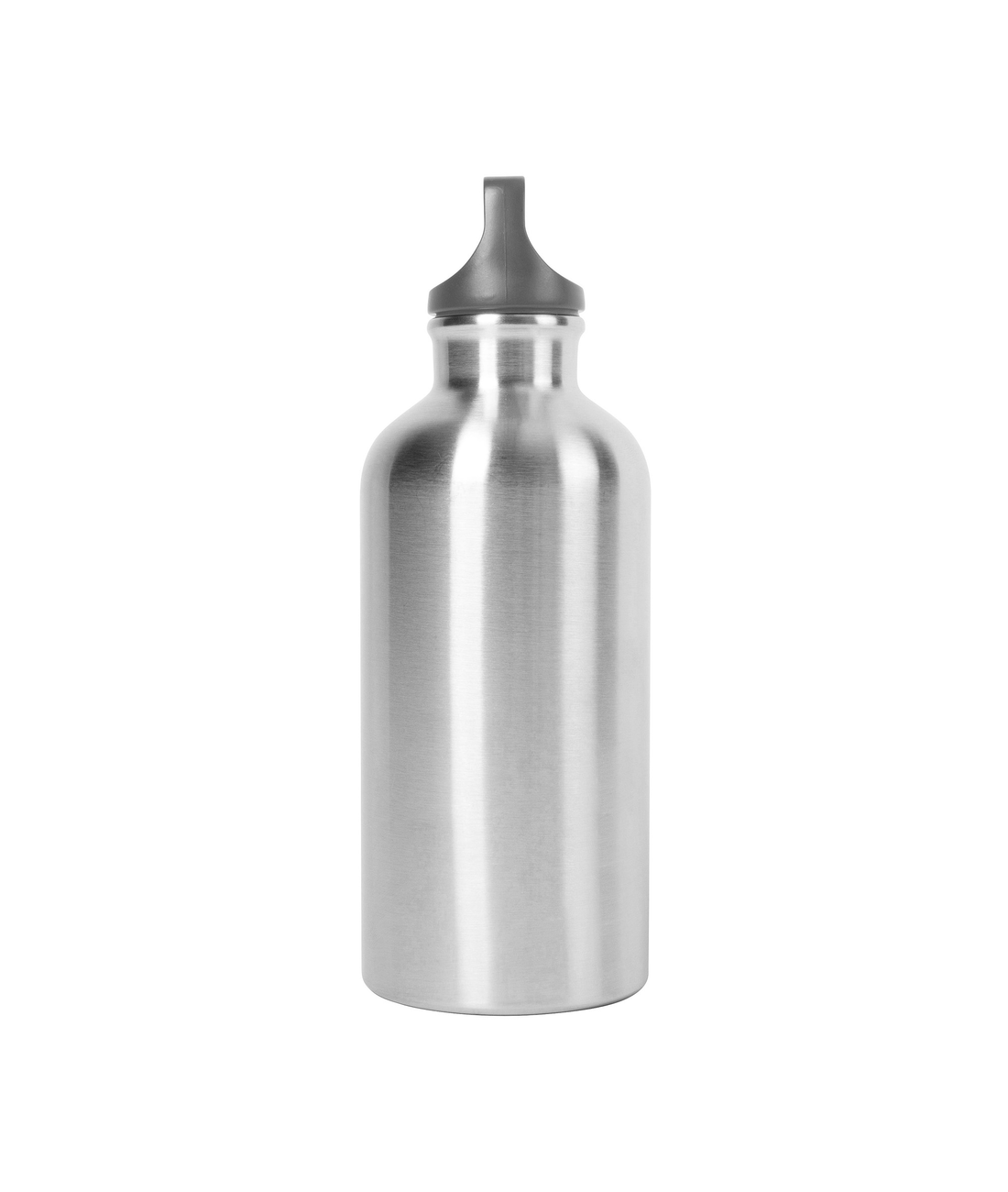 Stainless Steel Bottle