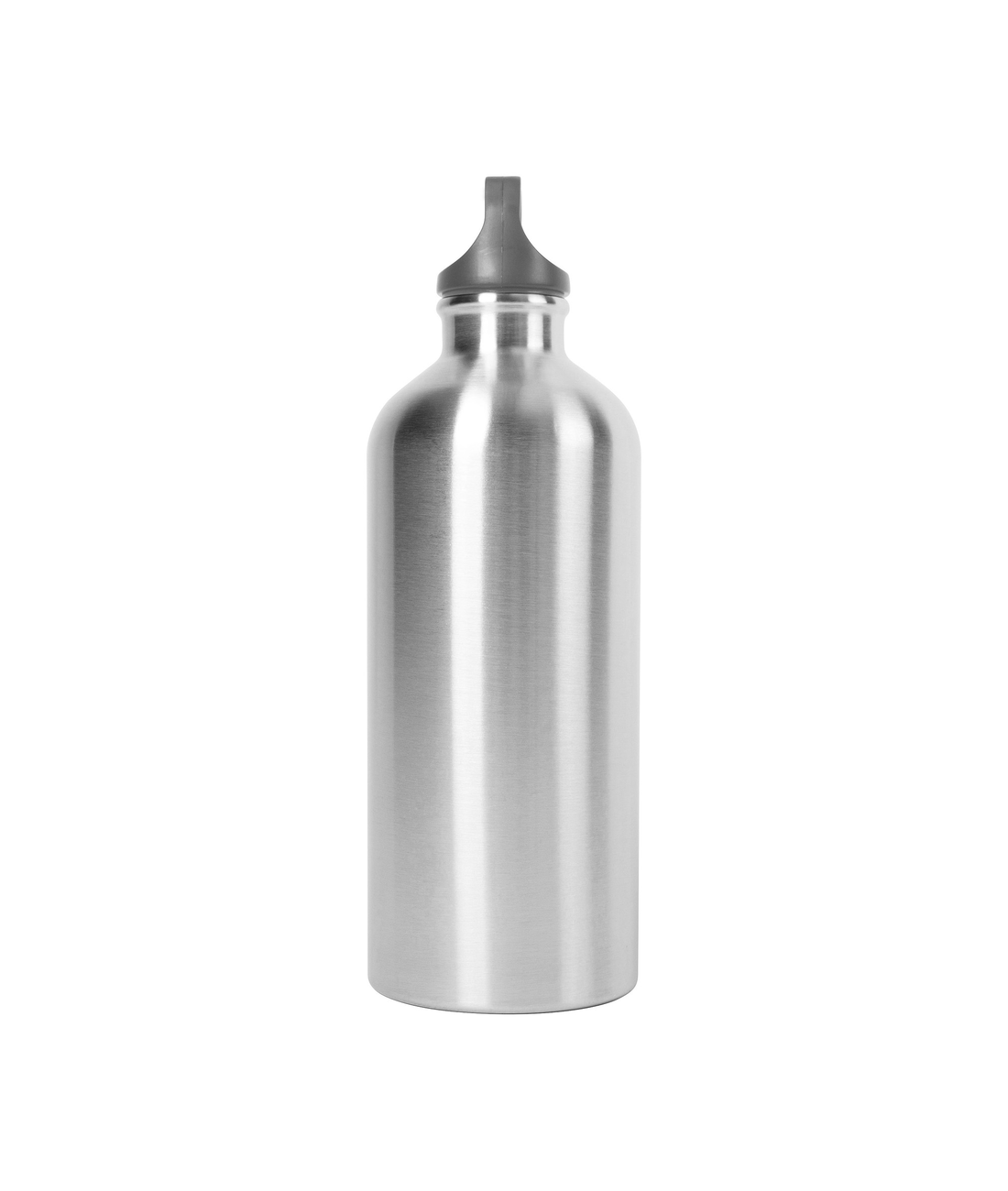 Stainless Steel Bottle