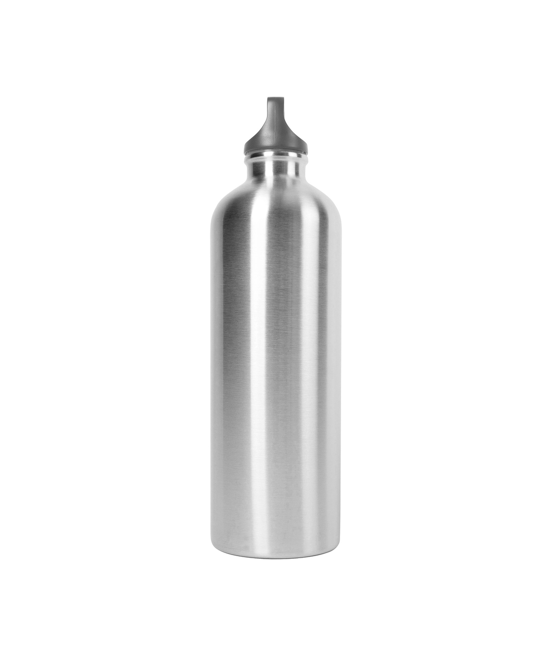 Stainless Steel Bottle