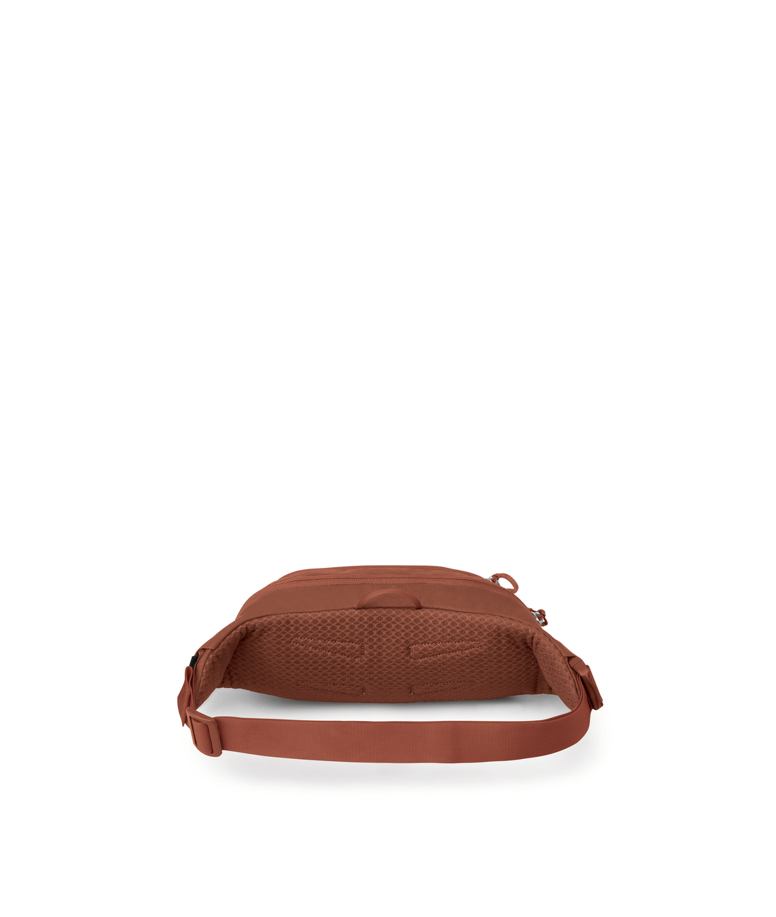 Daylite Waist