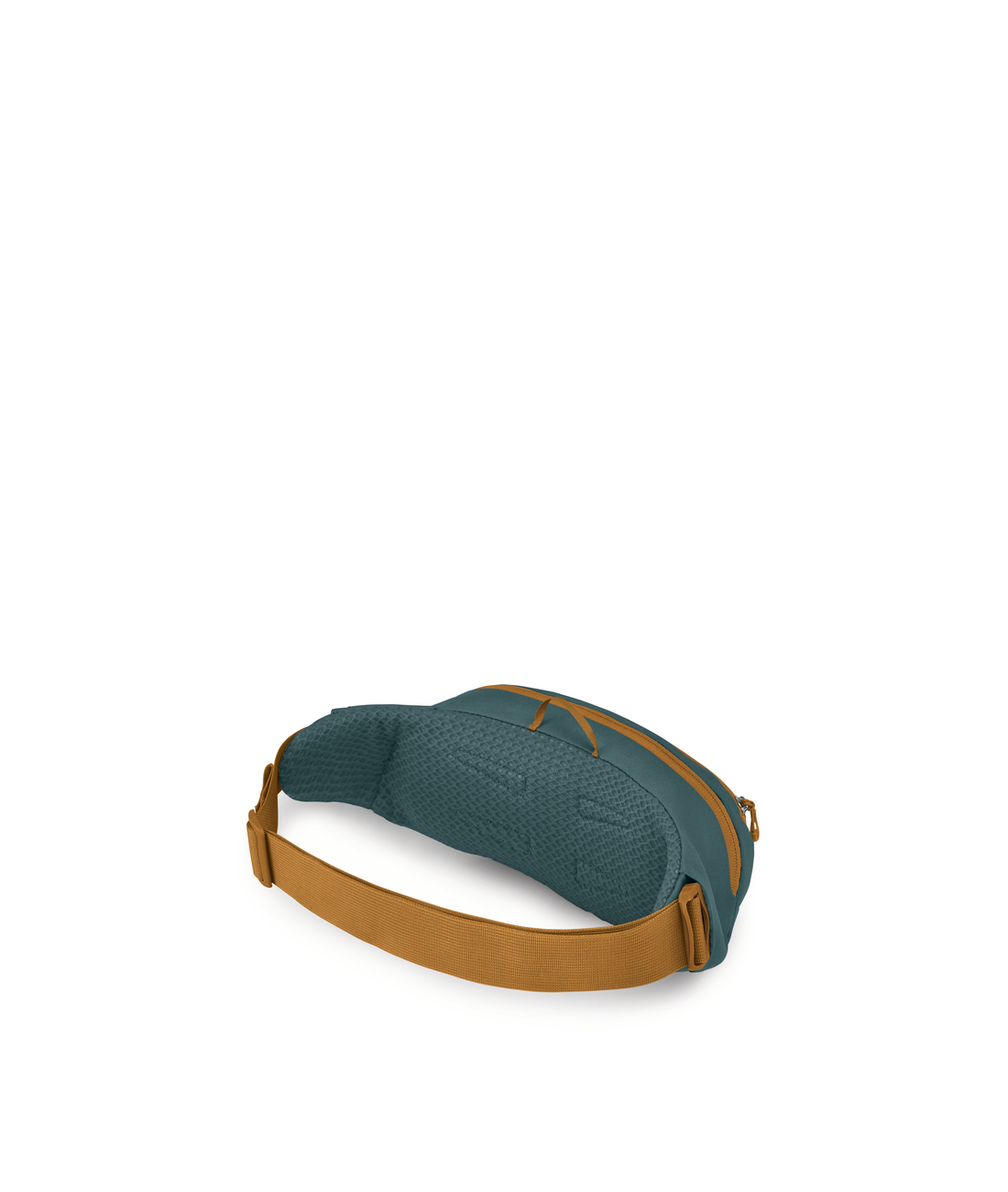 Daylite Waist