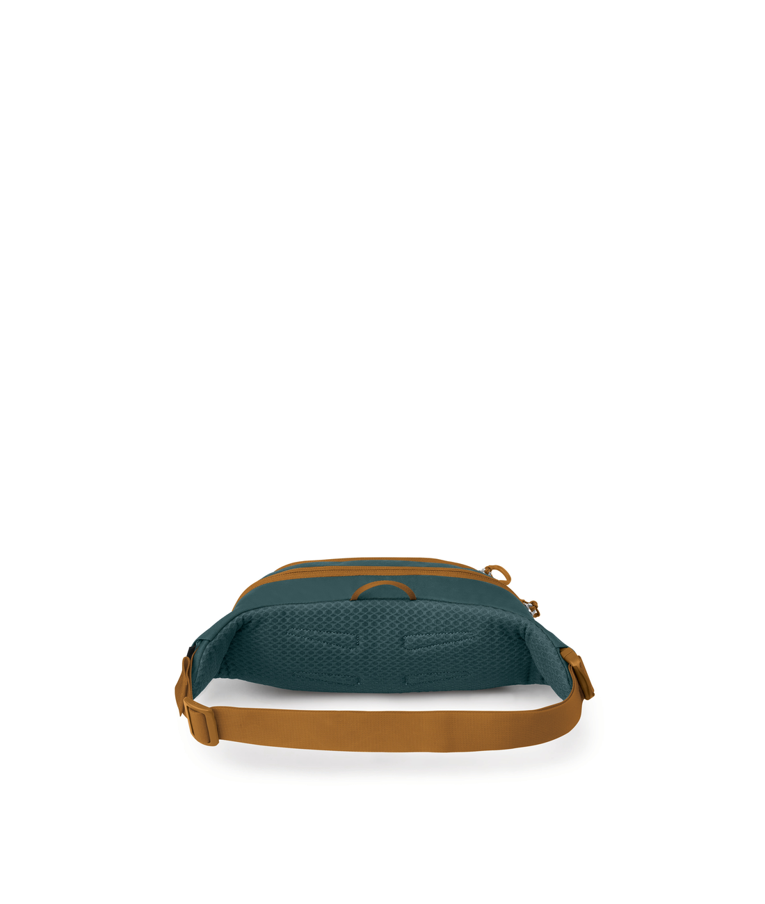Daylite Waist