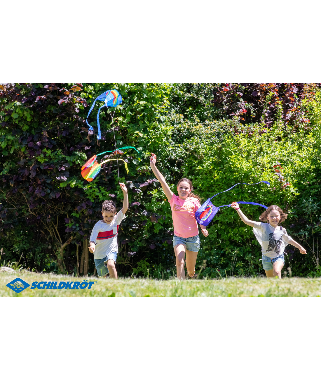 Pocket Kite Medium