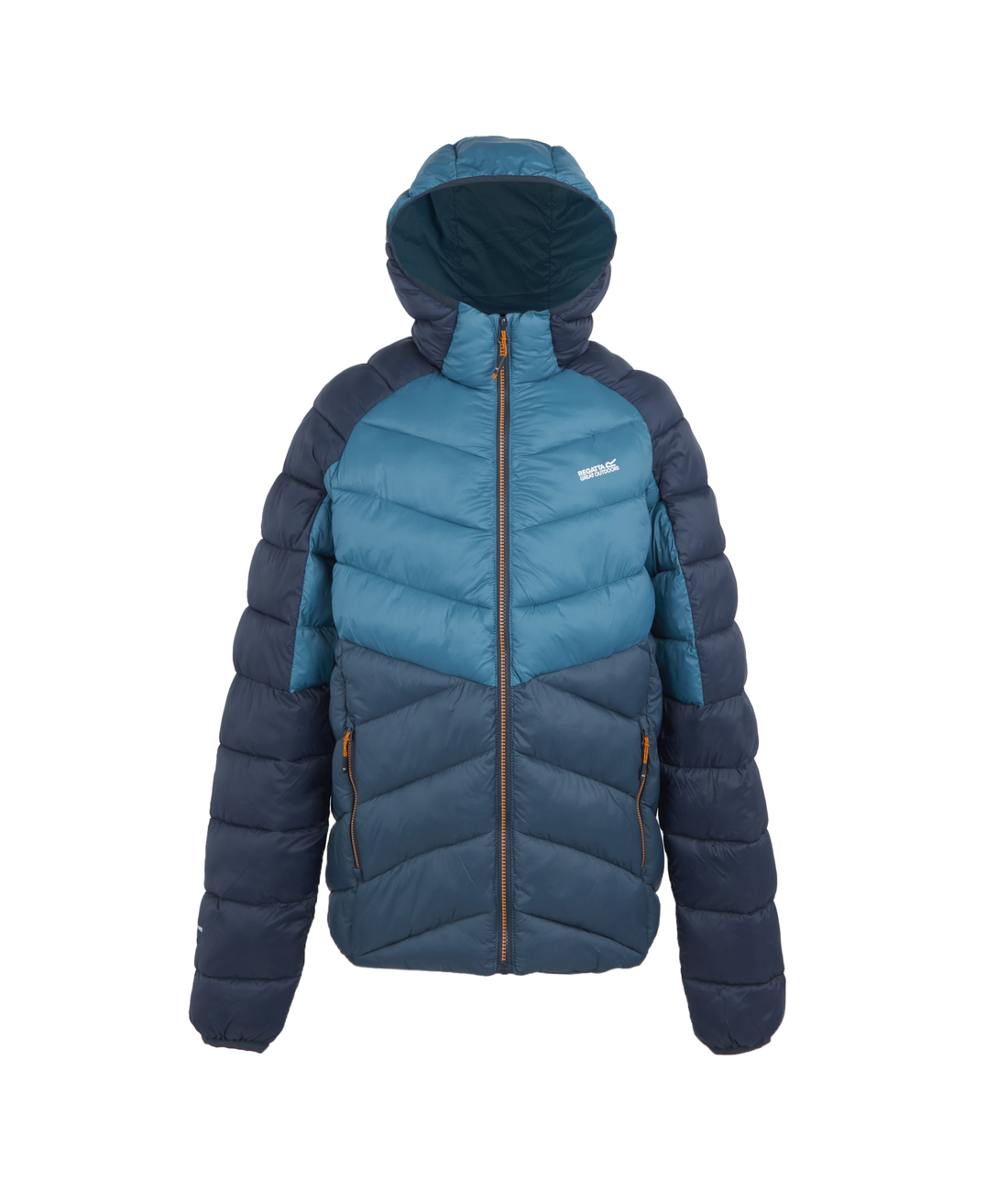 Hooded Dalent Men