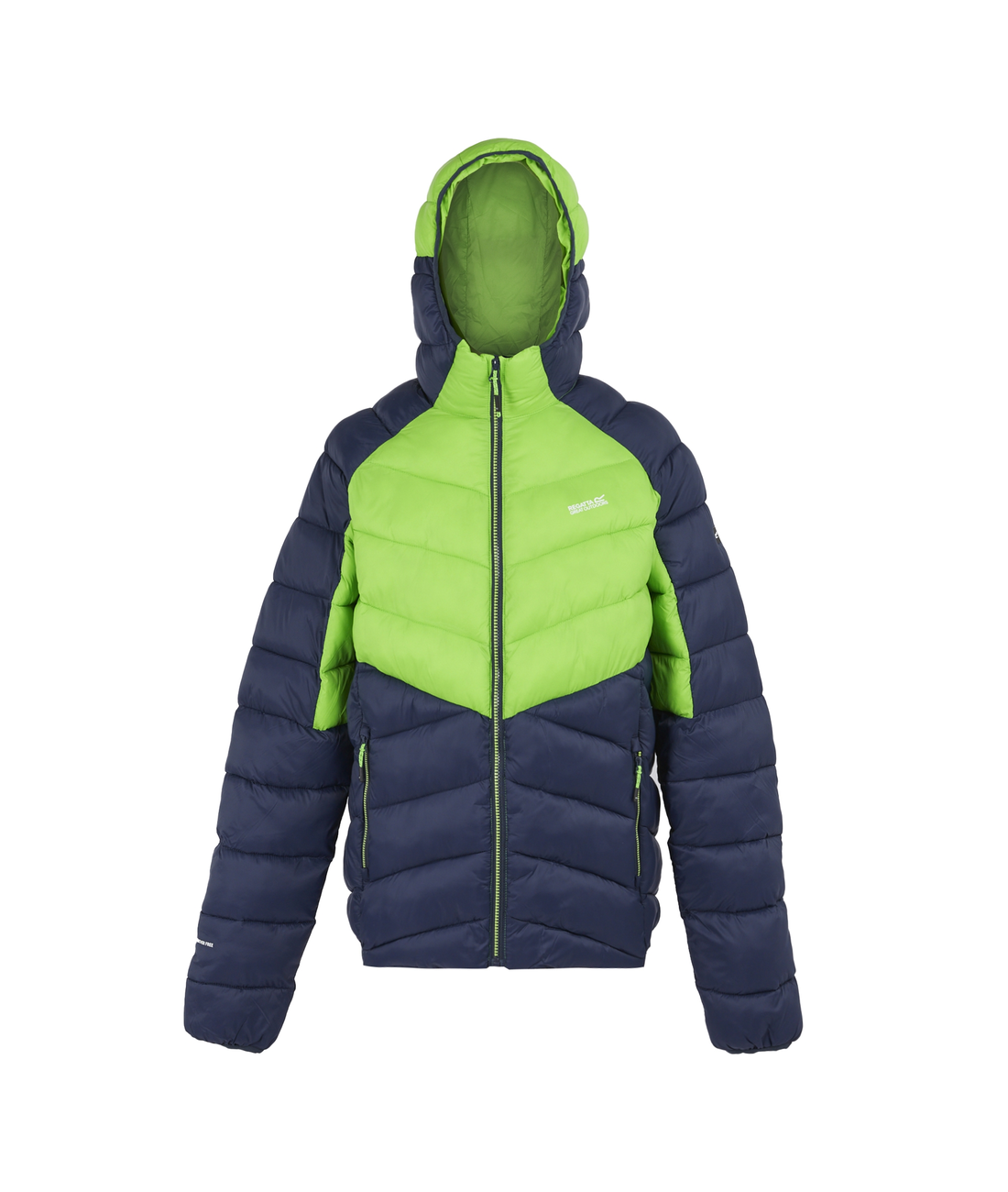 Hooded Dalent Men