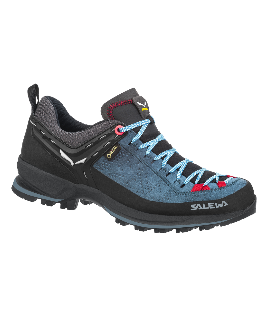 Mountain Trainer 2 GTX WS