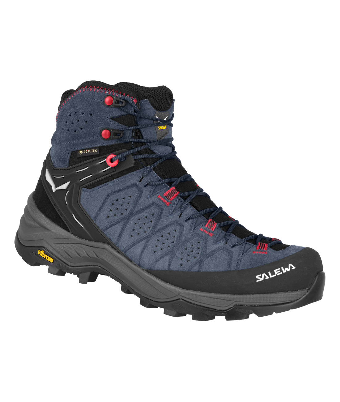 WS ALP Trainer Mid GTX Schuhe SALE