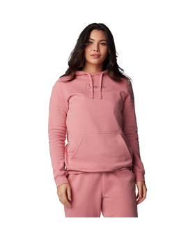 Columbia Trek Graphic Treatment Hoodie