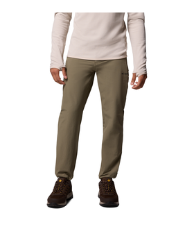 Essential Hike AY Pants - regular