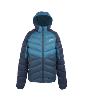 Hooded Dalent Men