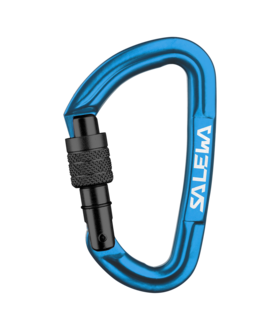 Hot G3 Screw Carabiner