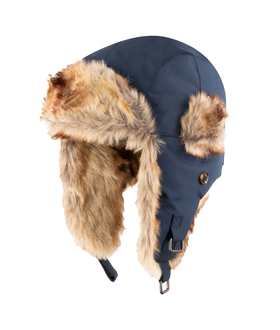 Isfjord Cap