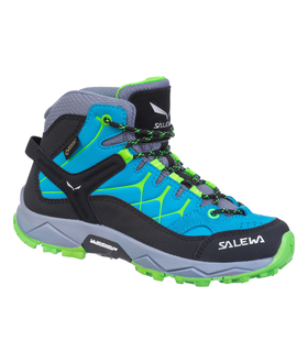 JR Alp Trainer Mid GTX