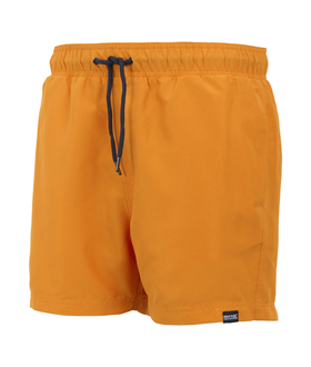 Mawson Swim Shorts III