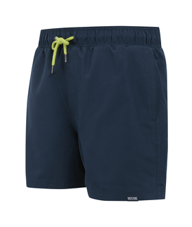 Mawson Swim Shorts III