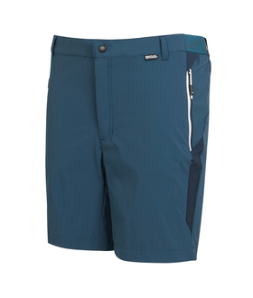 Mountain Shorts II