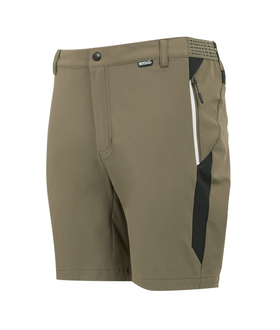 Mountain Shorts II
