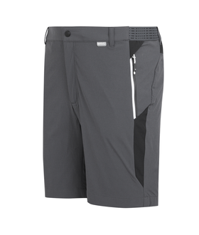 Mountain Shorts II
