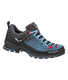 Mountain Trainer 2 GTX WS
