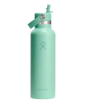 Standard Flex with Straw Cap 21 (621 ml)
