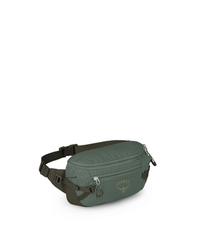 Transporter Waist Pack