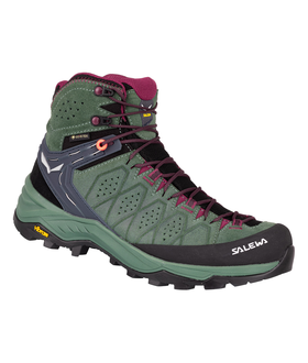 WS ALP Trainer Mid GTX