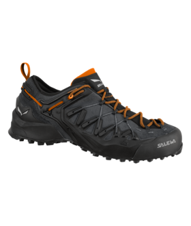 Wildfire Edge GTX M