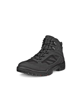 Xpedition III M High GTX