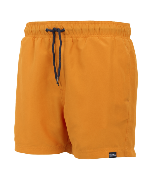 Mawson Swim Shorts III
