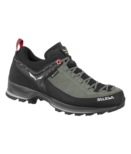 Mountain Trainer 2 GTX WS