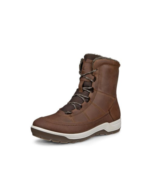 Trace Lite W
