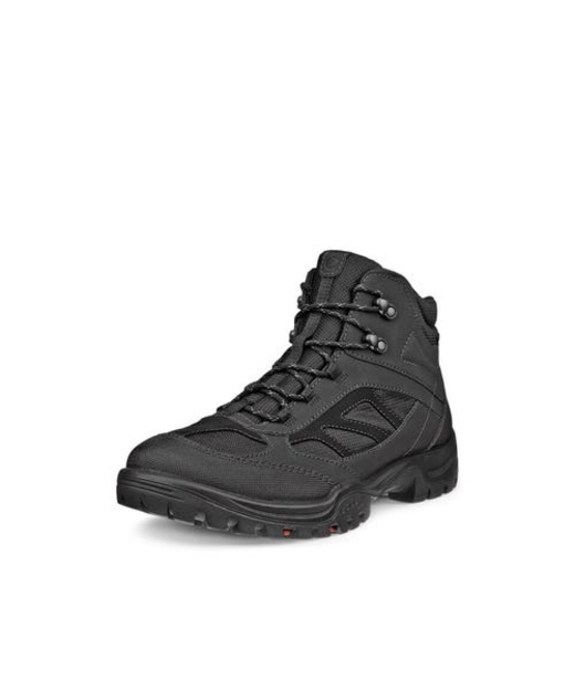 Xpedition III M High GTX